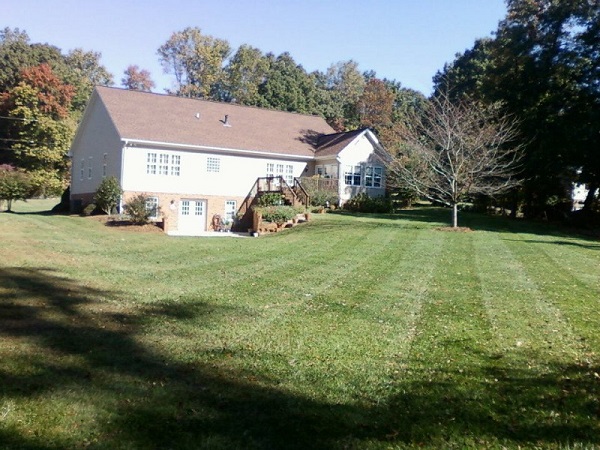 Paver Path & Garden